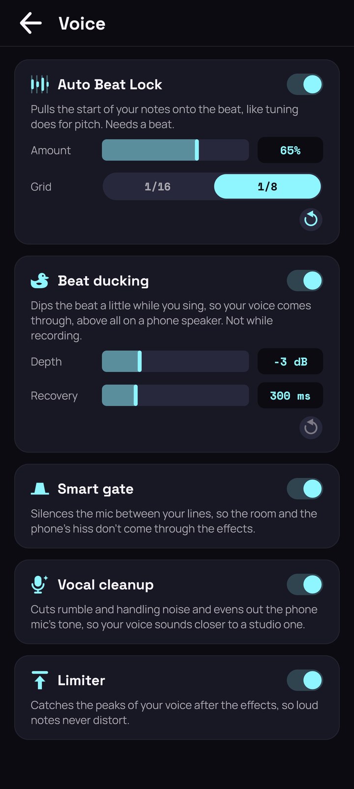 Settings, Voice page