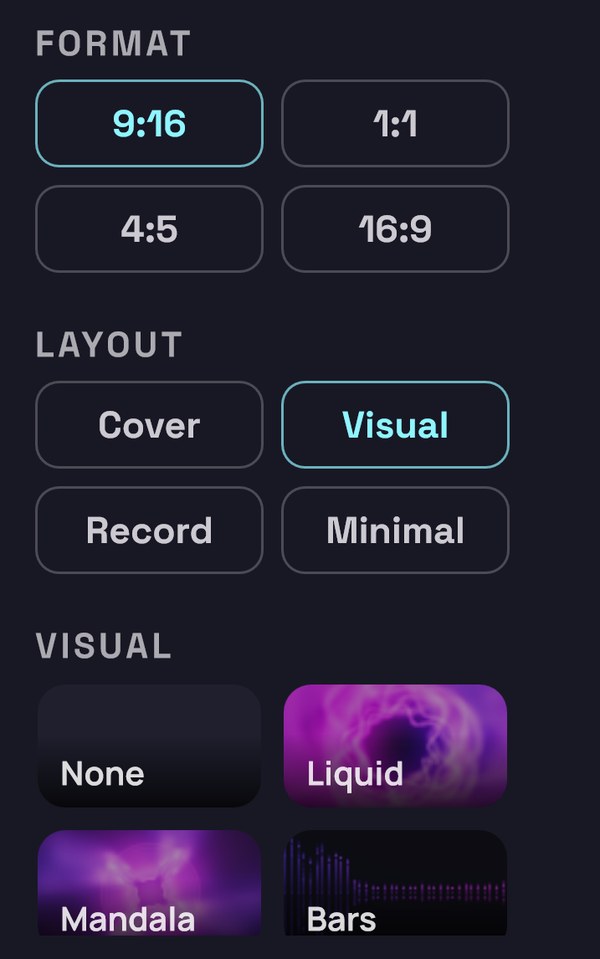 Format, Layout and Visual in the video panel
